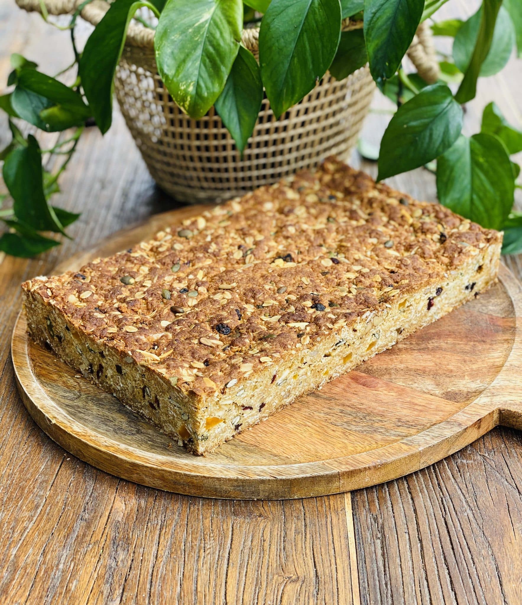 Muesli Slab 20x30cm